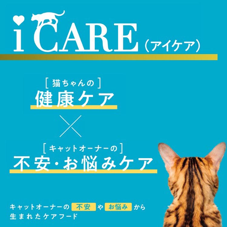 i CARE 水分補給 まぐろペースト ( 35g×12袋 )/ CARE(アイケア