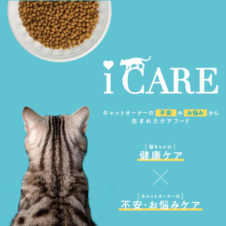 i CARE キャットドライ 子ねこ用 フィッシュ＆チキン味 ( 400g )/ CARE