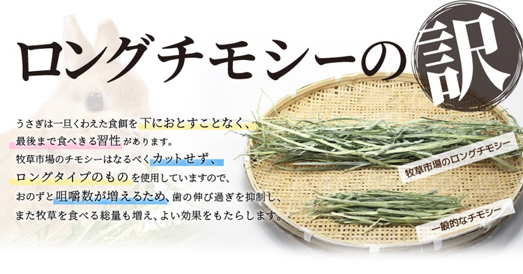 牧草市場 スーパープレミアムチモシー 1番刈り ( 800g ) : 爽快