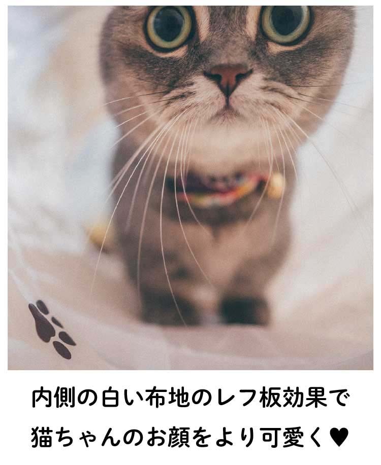 猫壱 キャットトンネル 木目柄 ( 1個 ) : 爽快ドラッグ - 通販