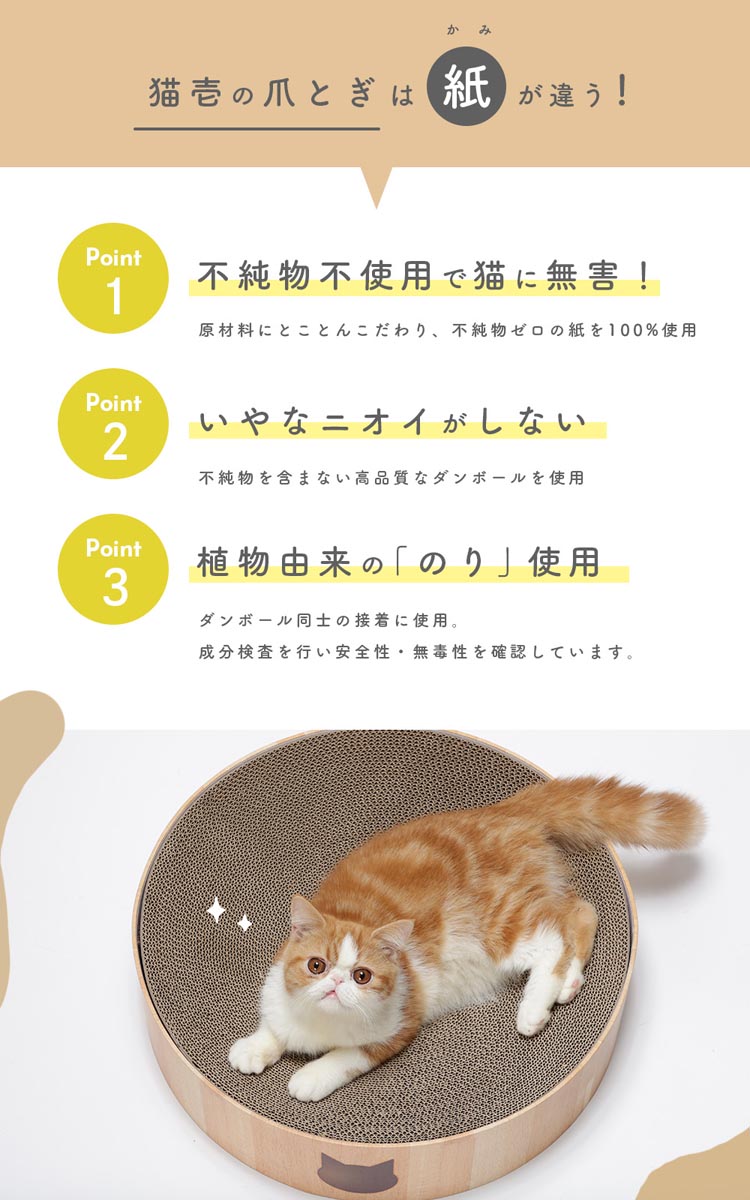 はるねこ (講談社の創作絵本シリーズ) | かんの ゆうこ, 松成