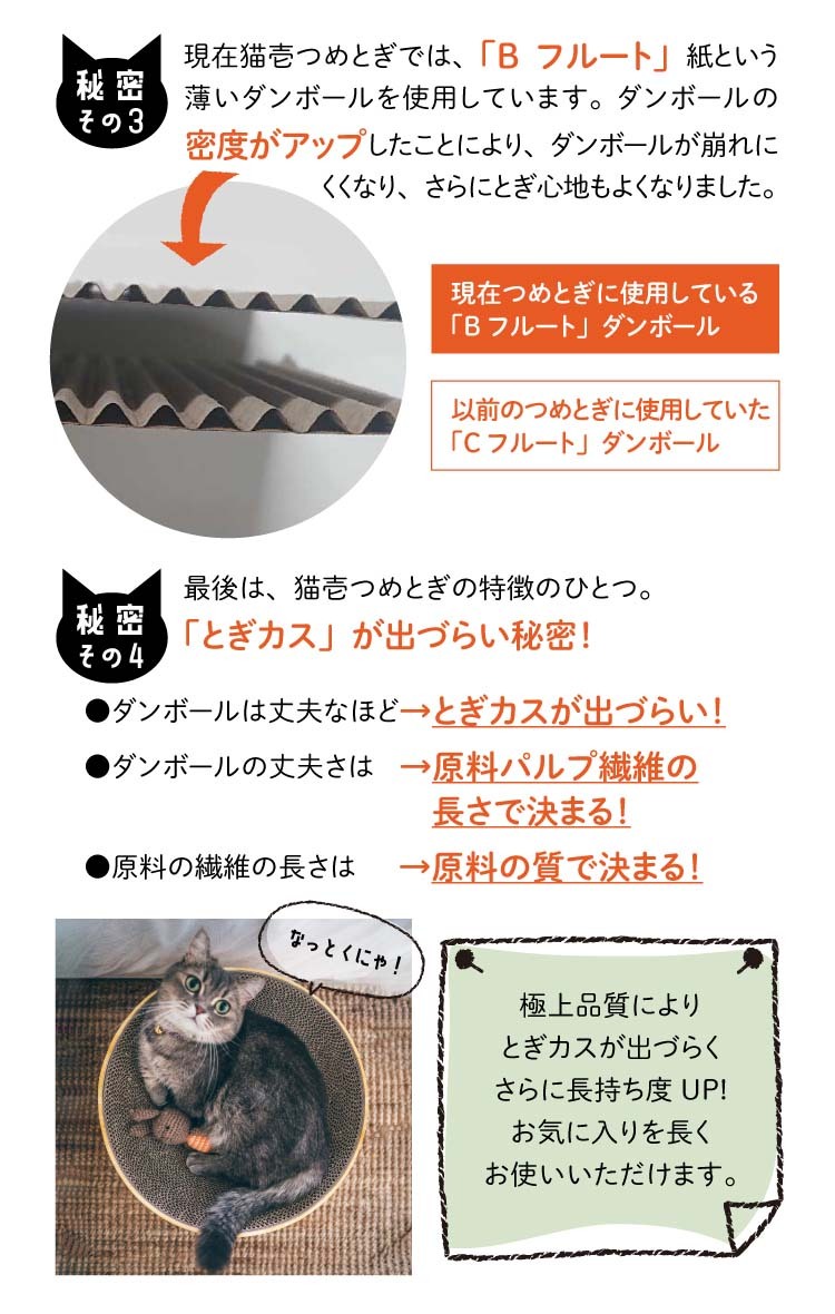 猫壱 バリバリパッド コロコロボールスクエア ( 1個 )/ : 爽快