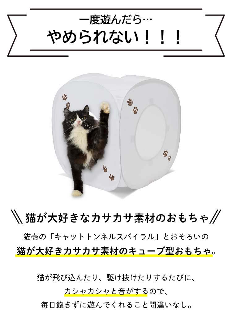 美ら猫(ちゅら猫)　DVD 3部作セット Amazon.co.jp: 美ら猫(ちゅら猫)竹富島編 [DVD] : ナレーション