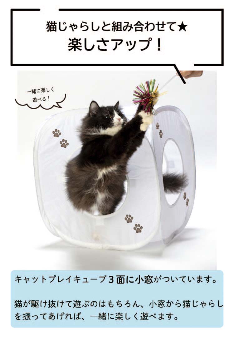 ジョン　ホワイト　キューピー黒猫かぶり 京都市 下京区 2匹の黒白猫ちゃん | 京都市のキャットシッターNear