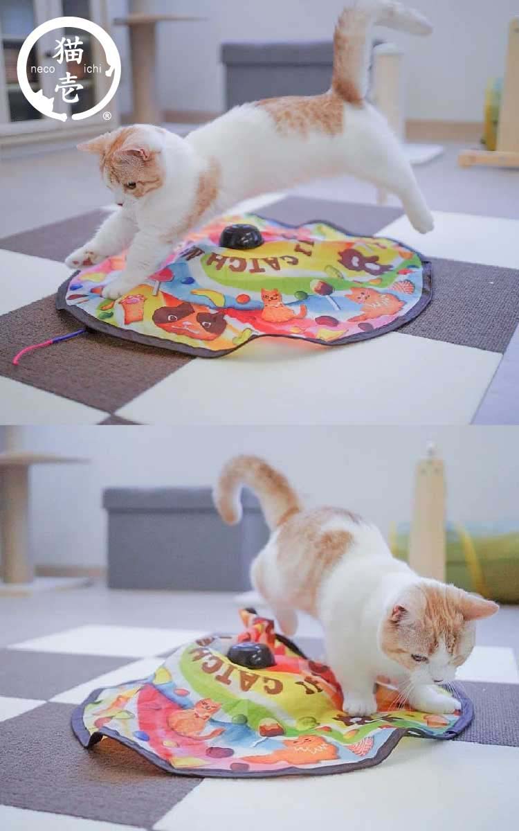 キャッチ・ミー・イフ・ユー・キャン2 交換用スティック ひも ( 3本入