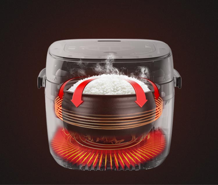 企画品)ベジタブル 5合炊きIH炊飯器 GD-IH100BK ( 1台 ) : 爽快