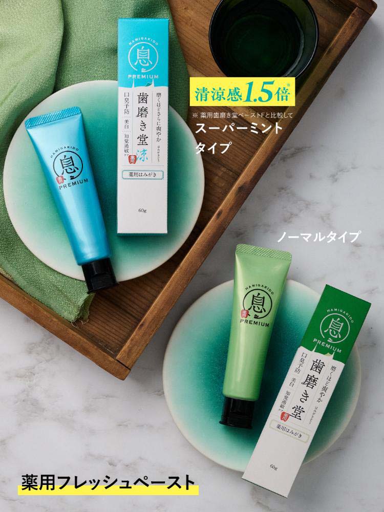 歯磨き堂 薬用フレッシュペースト スーパーミント ( 60g )/ : 爽快