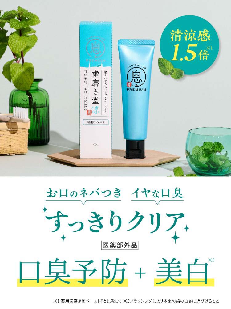 歯磨き堂 薬用フレッシュペースト スーパーミント ( 60g )/ : 爽快