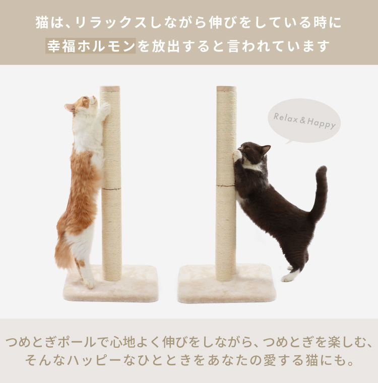 キラキラ⭐️　　花＆猫 楽天市場】【P10倍・25日迄】キャットタワー サボテン 花 桜色