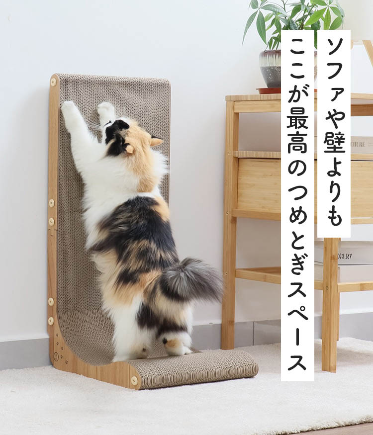 Bee様　猫プレミアム2+3、柴犬プレミアム1+1 バリバリボード ウッドプレミアム 本体 ライトブラウン ( 1個 )/ 猫壱