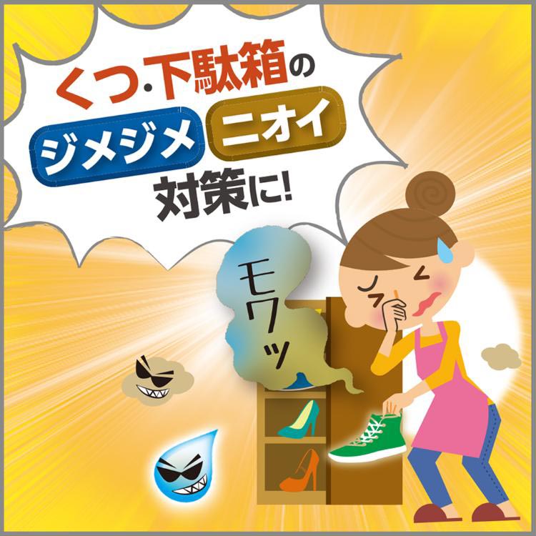 備長炭ドライペット 除湿剤 下駄箱用 置き型 ( 1セット )/ : 爽快