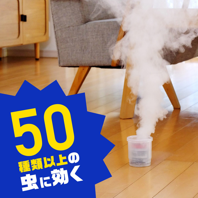 イヤな虫 ゼロデナイト 6〜8畳用 くん煙剤 ( 10g )/ アース ( 殺虫剤