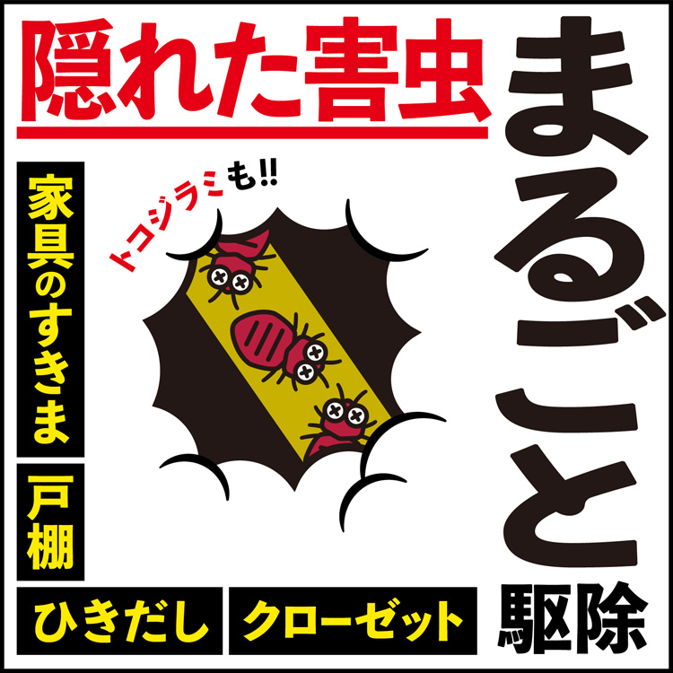 アタオ・匿名発送　断捨離中　e E 第2類医薬品)アースレッド プロα 12〜16畳用 ( 20g*3個入