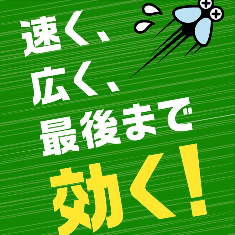 アース 虫よけネット EX あみ戸用 260日用 虫除けネット 貼るタイプ