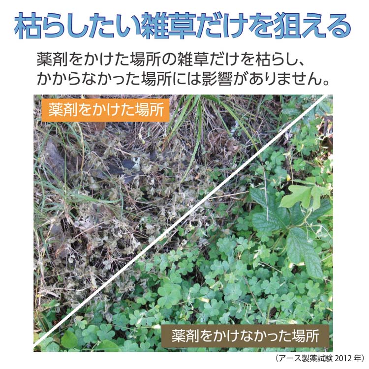 ファッションの 除草剤 液体 雑草対策 草取り 庭 駐車場 園芸用品 アースガーデン おうちの草コロリ ジョウロヘッド 2L 1個 アース製薬  discoversvg.com