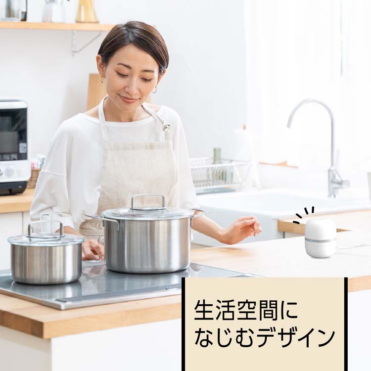マモルーム コバエ用 置き型 空間用 2ヵ月用セット ( 1セット