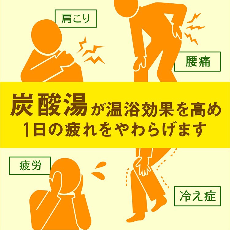 温泡 入浴剤 炭酸 詰め合わせ アソートセット 大容量 福袋 ( 84錠入