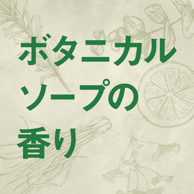ピレパラアース マジックプッシュ ボタニカル 防虫剤 スプレー ピレパラアース マジックプッシュ ボタニカル 防虫剤 スプレー