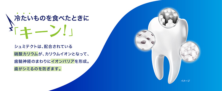 シュミテクト コンプリートワンex 歯磨き粉 高濃度フッ素配合 1450ppm 90g シュミテクト 爽快ドラッグ 通販 Yahoo ショッピング