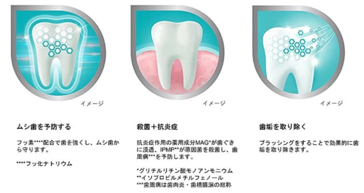 ポリデント デンタルラボ 薬用ハミガキ【医薬部外品】 ( 100g