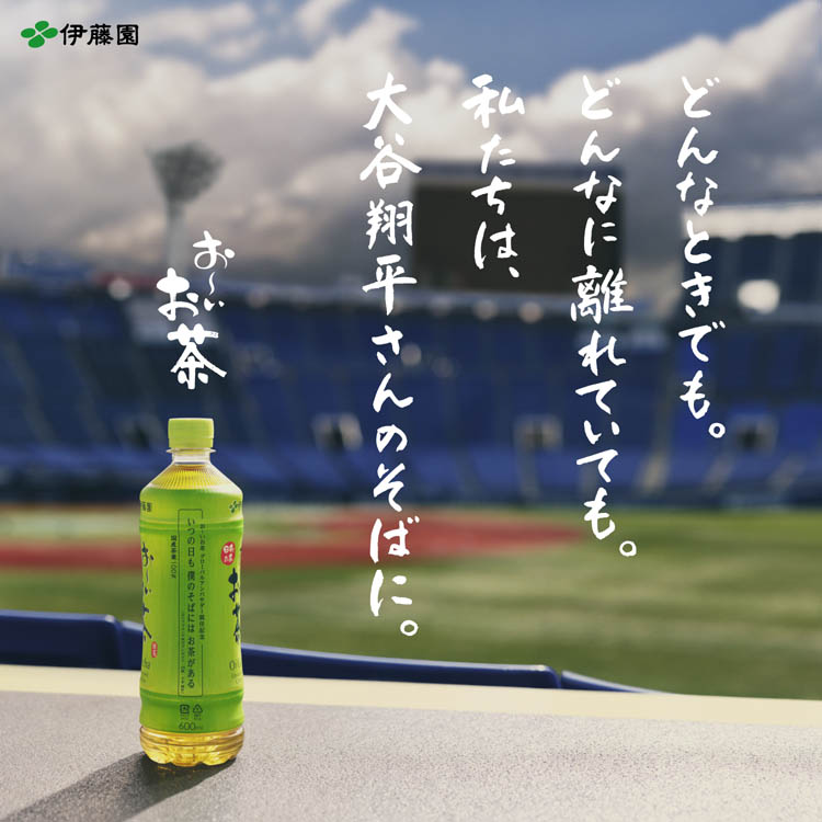 伊藤園 おーいお茶 さらさら ほうじ茶 粉末 チャック付き袋