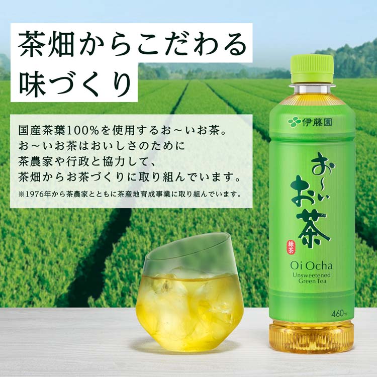 伊藤園 おーいお茶 緑茶 ポケッティ ペットボトル ( 350ml*24本