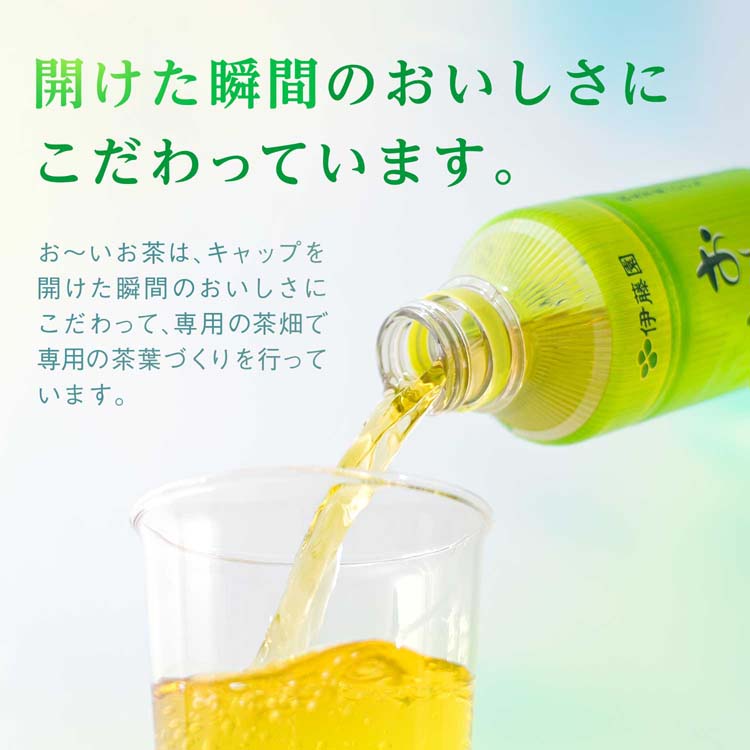 伊藤園 おーいお茶 緑茶 スリムボトル ( 1000ml*12本入 )/ お〜いお茶