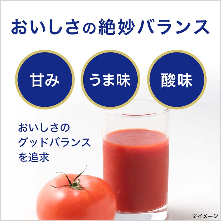伊藤園 充実野菜 理想のトマト エコボトル ペットボトル ( 740g×15本