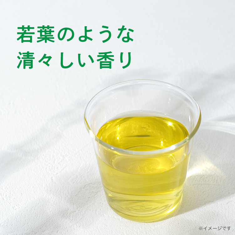 伊藤園 おーいお茶 PURE GREEN 緑茶 ペットボトル ( 600ml×24本