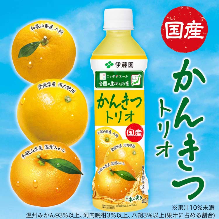 伊藤園 ニッポンエール 国産 かんきつトリオ ペットボトル ( 400g×24本
