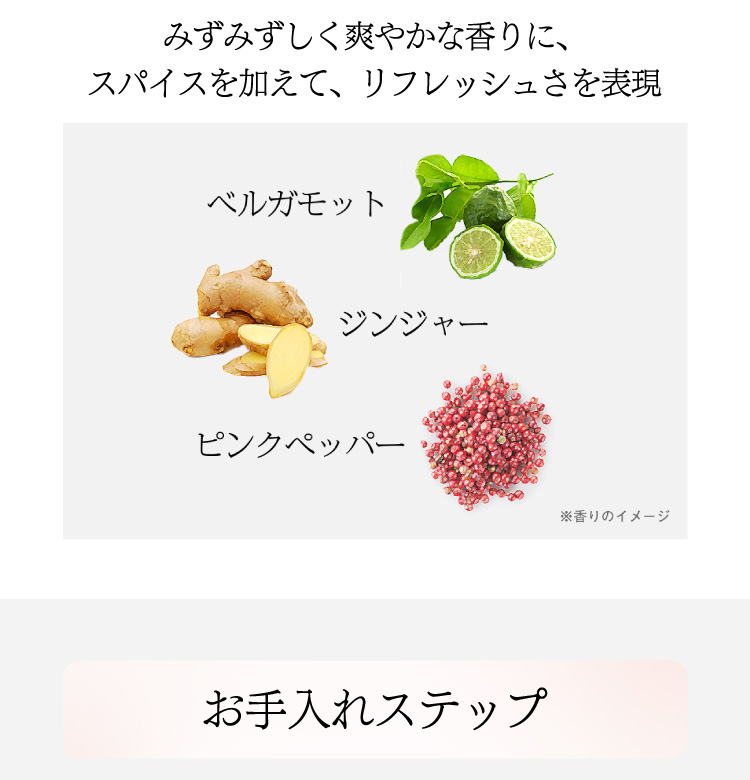 ソフィーナ iP 薬用シワ改善 泡セラム レフィル ( 90g ソフィーナ iP 薬用シワ改善 泡セラム レフィル ( 90g