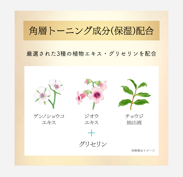 ソフィーナ iP 薬用 角層トーニングセラム レフィル ( 30ml