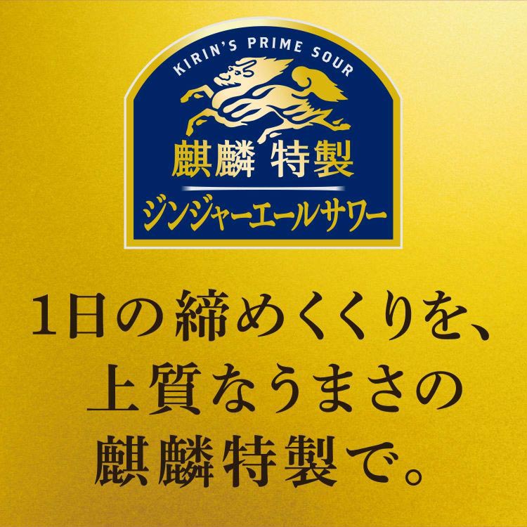 麒麟特製 ジンジャーエールサワー ( 500ml*24本入 )/ キリン : 爽快