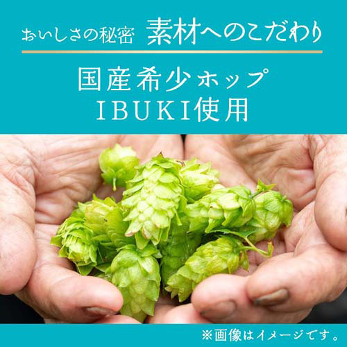 キリンビール 晴れ風 ( 500ml×24本 )/ : 爽快ドラッグ - 通販 - Yahoo