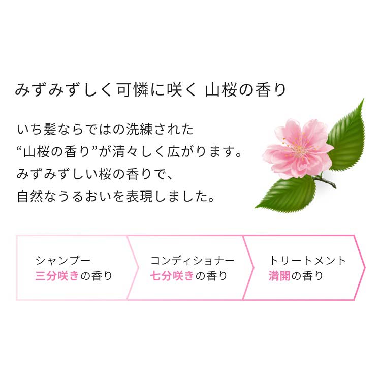 いち髪 なめらかスムースケア シャンプー 詰替用2回分 ( 660ml