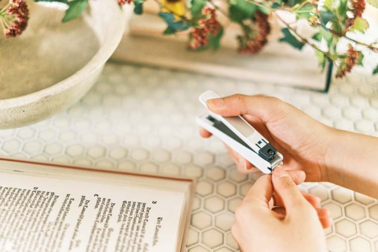 ニュースタンダードツメキリ M HL-0602 ( 1コ入 )/ 貝印 : 爽快