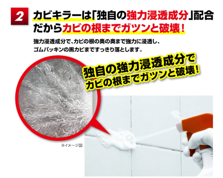 カビキラー カビ取り剤 業務用サイズ 詰め替え 大容量 ( 5000g