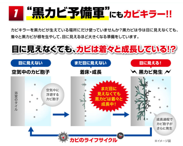 カビキラー カビ取り剤 業務用サイズ 詰め替え 大容量 ( 5000g