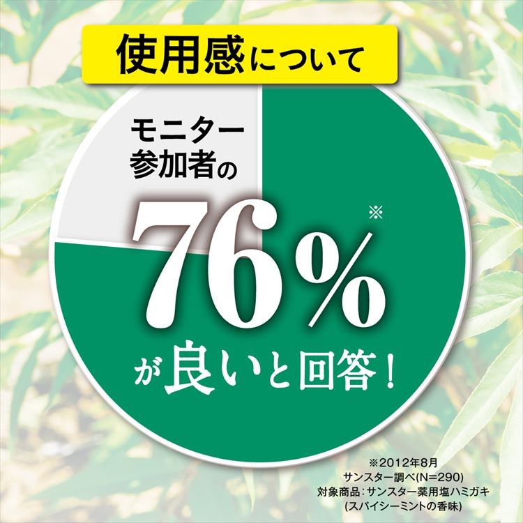 薬用ハミガキ 生薬当帰の力 ( 85g )/ 生薬当帰の力 ( 歯槽膿漏