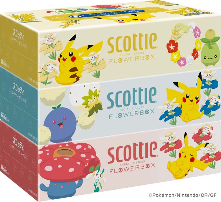 【未使用】ポケモン風呂桶 スコッティ当選品 レア オリジナル 日本製 ヒノキ スコッティ ティッシュ フラワーボックス ポケモン 大容量 ( 500枚(250