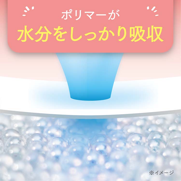 ポイズ さらさら吸水 吸水ナプキン 100cc まとめ買いパック ( 24枚