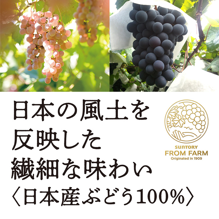 日本ワイン フロムファーム マスカット・ベーリーA 日本の赤
