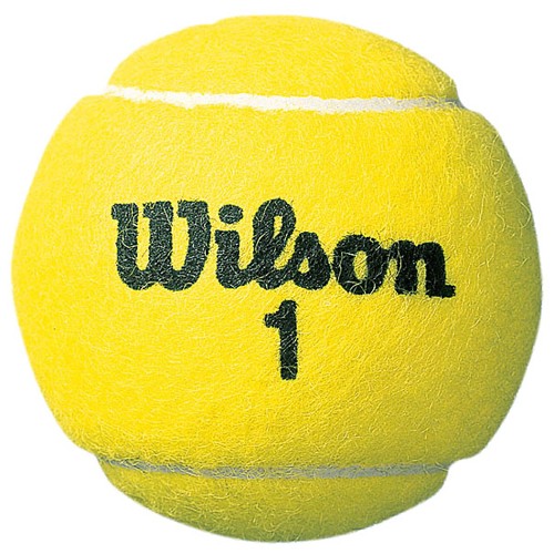 Wilson ウィルソン USオープン エクストラデューティ ( 2コ入