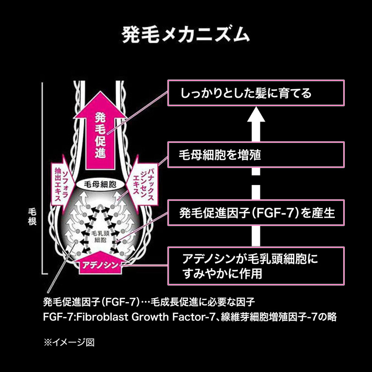 薬用アデノゲンＥＸ｜男性用頭皮ケア｜男性用ヘア ・ ボディ｜アデノゲン｜資生堂オンラインストア