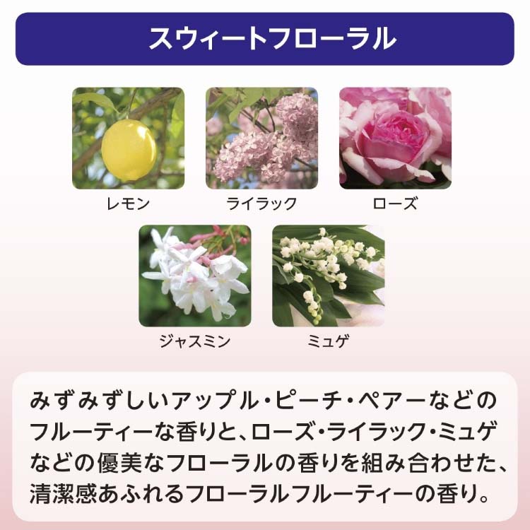 アウトレット)専科 パーフェクトバブル フォーボディー