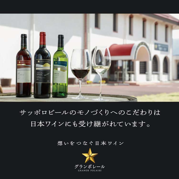 グランポレール 長野メルロー ( 750ml ) 日本ワイン 赤ワイン ギフト