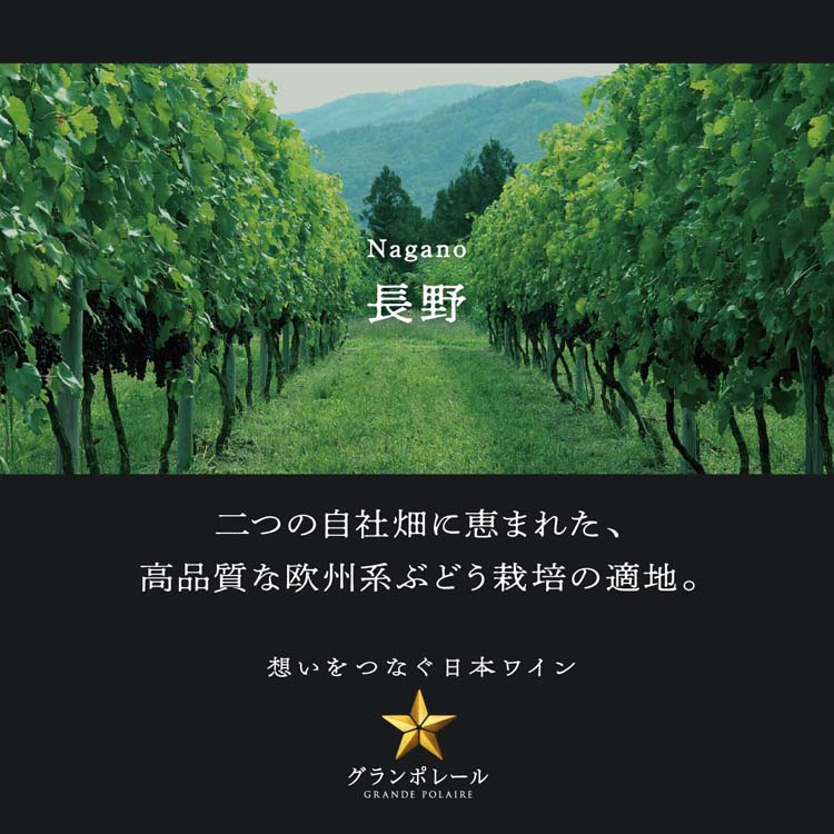 グランポレール 長野シャルドネ ( 750ml ) 日本ワイン 白ワイン ギフト