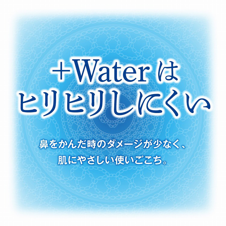 エリエール +Water ソフトパック ( 120組*5個パック )/ エリエール