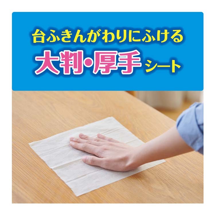 となる (まとめ) 鉄道型水取り/清掃用品 〔幅31cm〕 鋼板 〔業務用 施設 店舗〕 〔×2セット〕 リコメン堂 - 通販 - PayPayモール  めてとるの