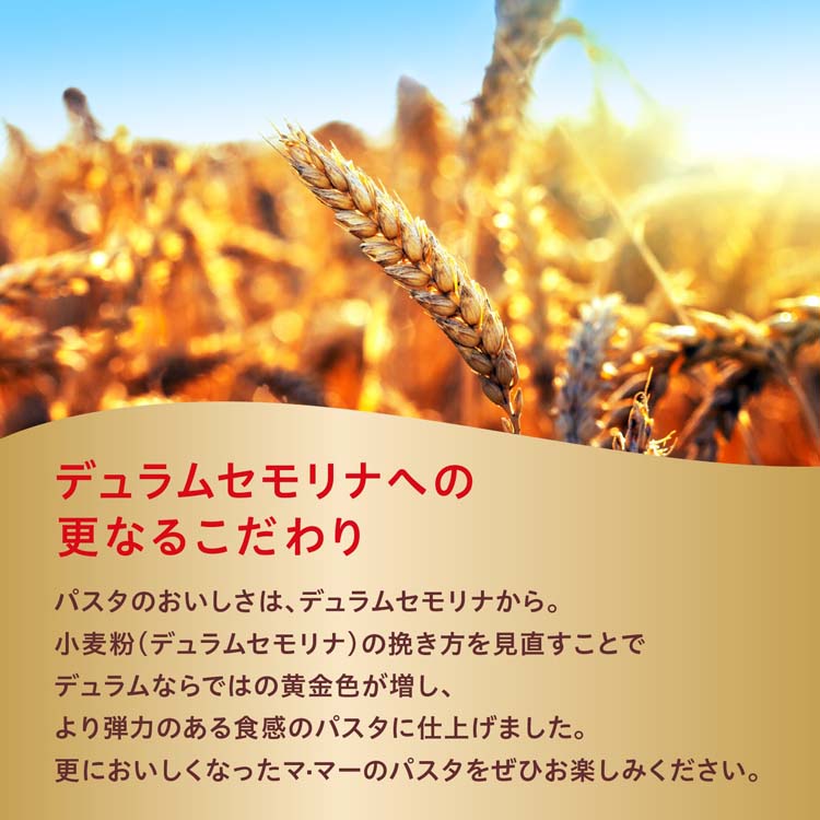 マ・マー 早ゆでスパゲティ FineFast高たんぱくタイプ 1.6mm ( 2.5kg